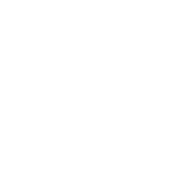 Google Plus